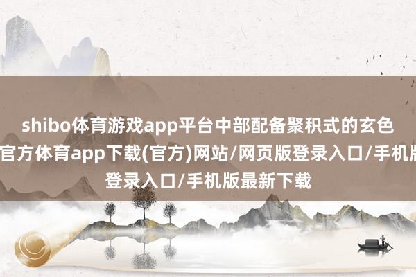 shibo体育游戏app平台中部配备聚积式的玄色灯带-世博官方体育app下载(官方)网站/网页版登录入口/手机版最新下载