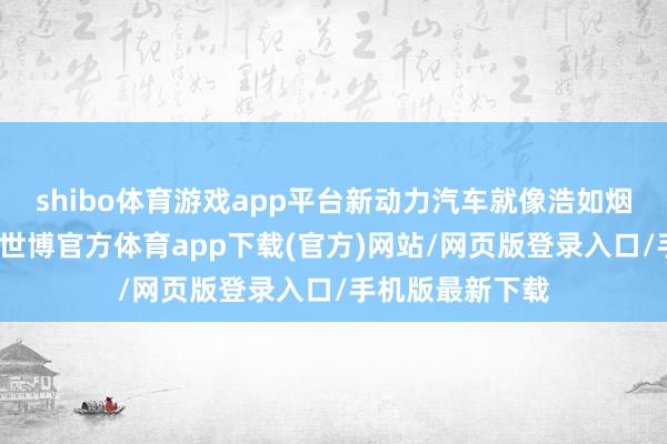 shibo体育游戏app平台新动力汽车就像浩如烟海般自满出来-世博官方体育app下载(官方)网站/网页版登录入口/手机版最新下载