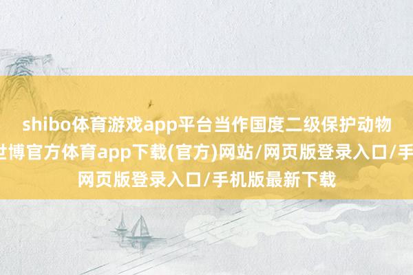 shibo体育游戏app平台当作国度二级保护动物的峨眉猴群-世博官方体育app下载(官方)网站/网页版登录入口/手机版最新下载