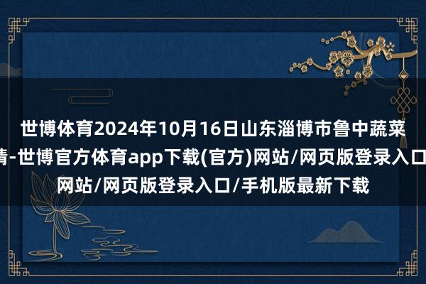 世博体育2024年10月16日山东淄博市鲁中蔬菜批发商场价钱行情-世博官方体育app下载(官方)网站/网页版登录入口/手机版最新下载