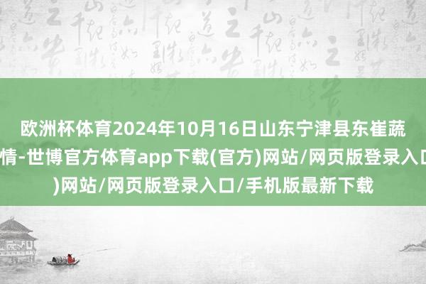 欧洲杯体育2024年10月16日山东宁津县东崔蔬菜批发商场价钱行情-世博官方体育app下载(官方)网站/网页版登录入口/手机版最新下载