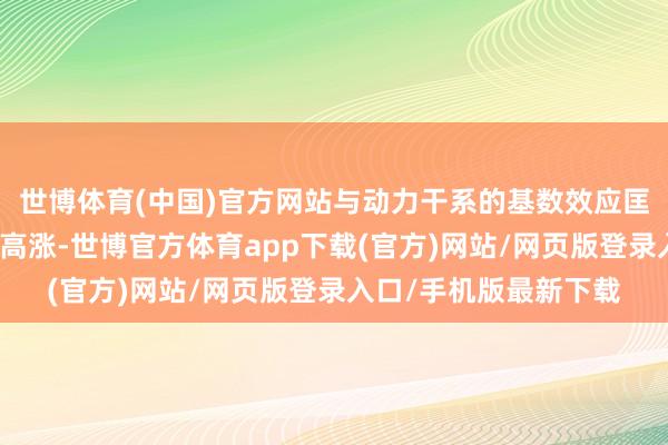 世博体育(中国)官方网站与动力干系的基数效应匡助鼓吹了阔绰者价钱高涨-世博官方体育app下载(官方)网站/网页版登录入口/手机版最新下载