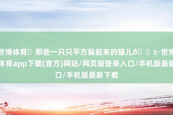 世博体育	那些一只只平方躲起来的猫儿🐱-世博官方体育app下载(官方)网站/网页版登录入口/手机版最新下载